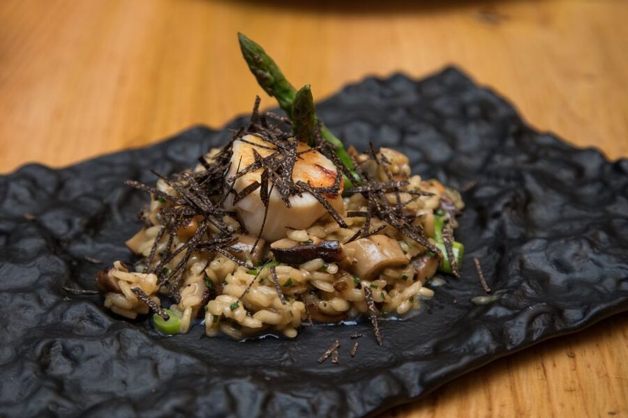 Barcelona Gourmet Food & Wine Tour with Local Expert - Who will enjoy this tour most?