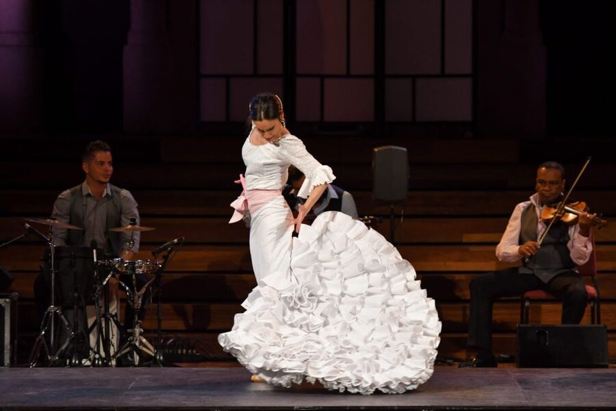 Barcelona: Gran Gala Flamenco Show Entry Ticket - Watching the dancers, singers, and guitarists