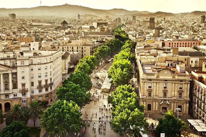 Barcelona Half-Day Sightseeing Private Tour - Starting at your hotel with a private driver