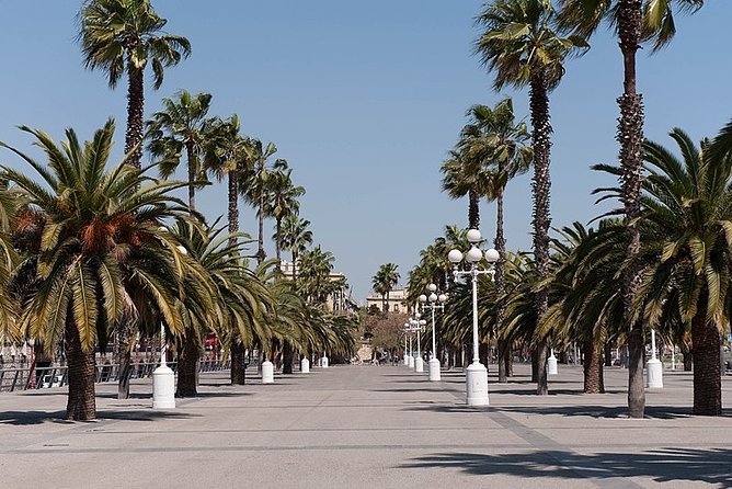 Barcelona Half-Day Sightseeing Private Tour - Casa Batlló and La Pedrera along Passeig de Gràcia