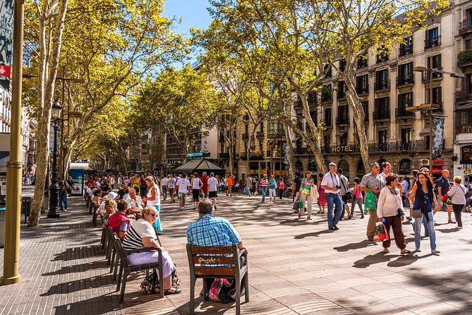 Barcelona Highlights Private Guided Tour with Hotel Pick-up - A smart first look at Barcelona