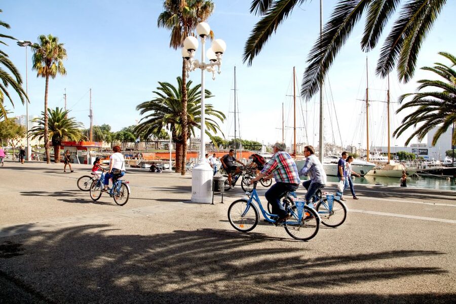 Barcelona Historical 3-Hour Bike Tour - Ciutadella Park and Arc de Triomf
