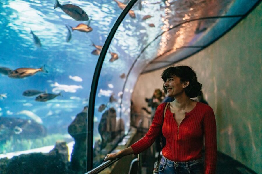 Barcelona: Hop-On Hop-Off Bus & Aquarium Tour - How this Barcelona combo works