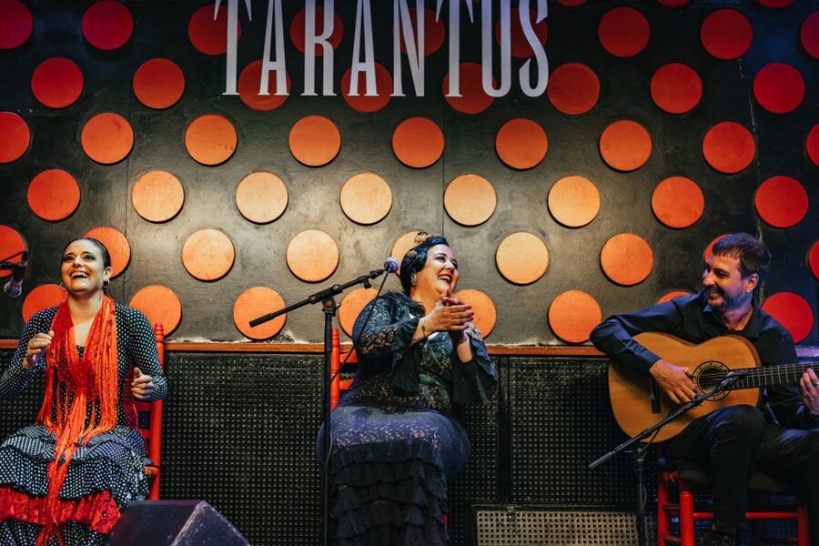 Barcelona: Los Tarantos Flamenco Show - Is $29 Good Value?