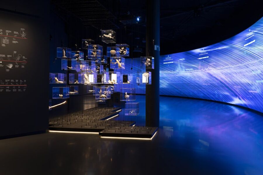 Barcelona: Mirador torre Glòries Skip-the-Line Ticket - The ground-floor exhibition turns the city into data