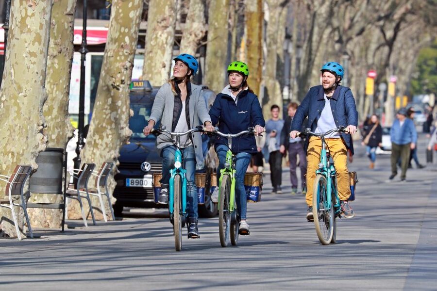 Barcelona: Montjuic Hill E-Bike Tour - Useful timing tips for Montjuïc