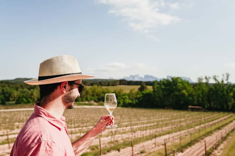 Barcelona: Montserrat and Winery Tour with Tapas or Lunch - Choosing between the half-day and full-day versions