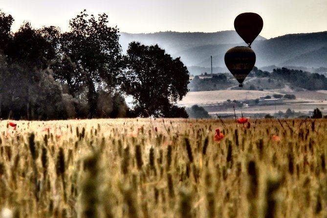 Barcelona: Montserrat Hot Air Balloon Ride with Champagne Toast - Who will enjoy this most