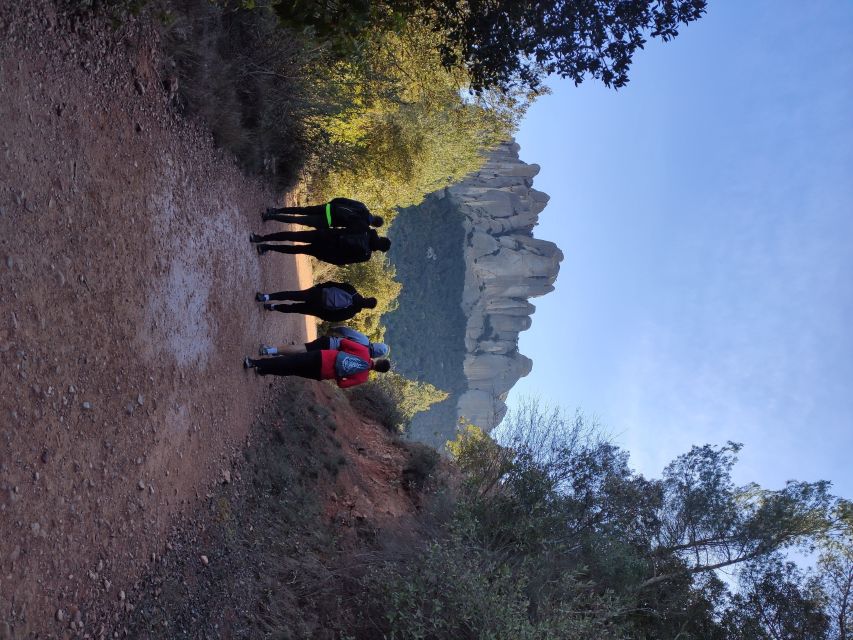 Barcelona: Montserrat Monastery & Hiking Off the Beaten Path - Rock formations, plants, wildlife, and Catalan stories