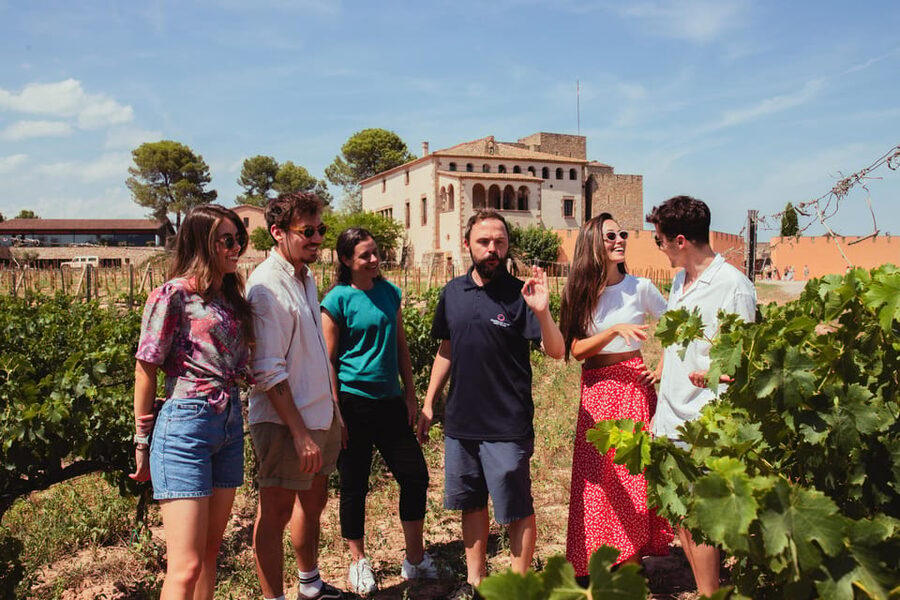 Barcelona: Montserrat with Winery, Lunch, and Train Options - Is the $63 starting price good value?