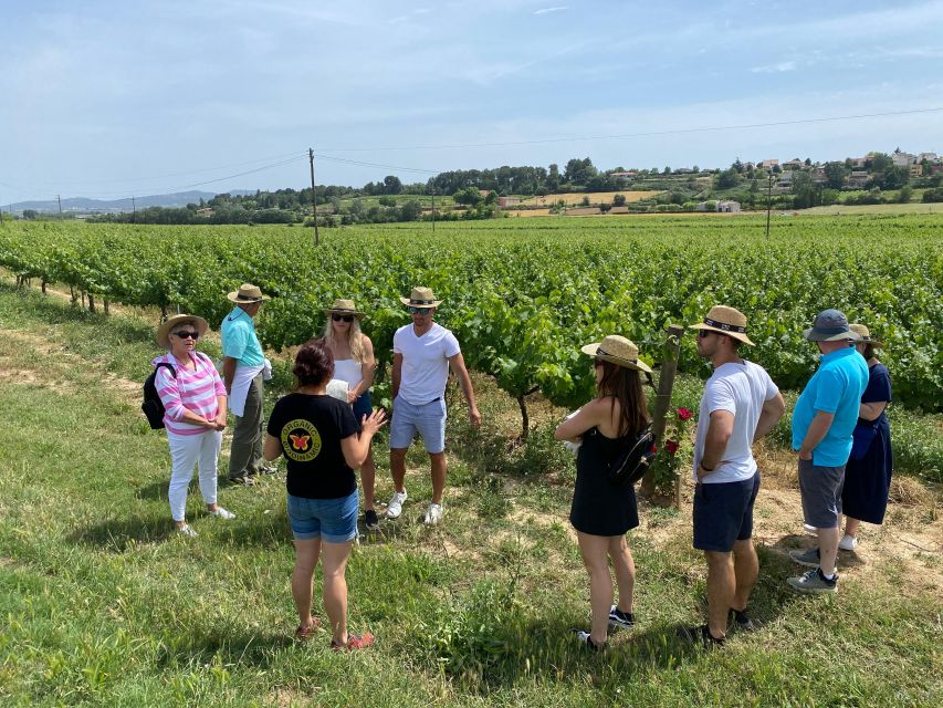 Barcelona: Montserrat with Winery Visit and Farmhouse Lunch - Who should book this day trip?