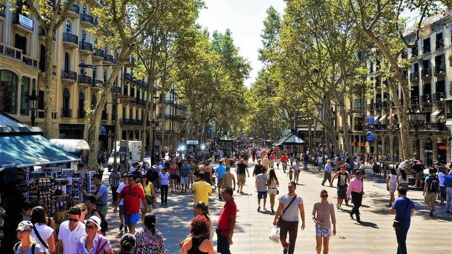 Barcelona: Old Town and Gothic Quarter Walking Tour - El Born and Santa Maria del Mar