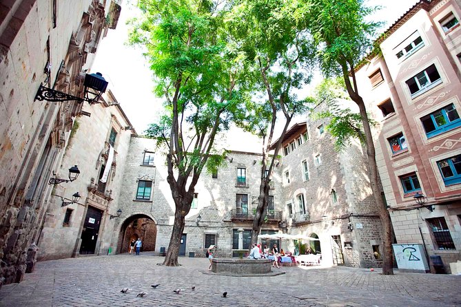 Barcelona Old Town & Gothic Quarter Small Group Tour - Barcelona Cathedral and the limits of a walk-by visit