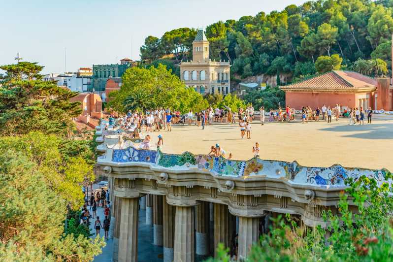 Barcelona: Park Güell Guided Tour & Priority Access - Priority Entry Into the Monumental Zone