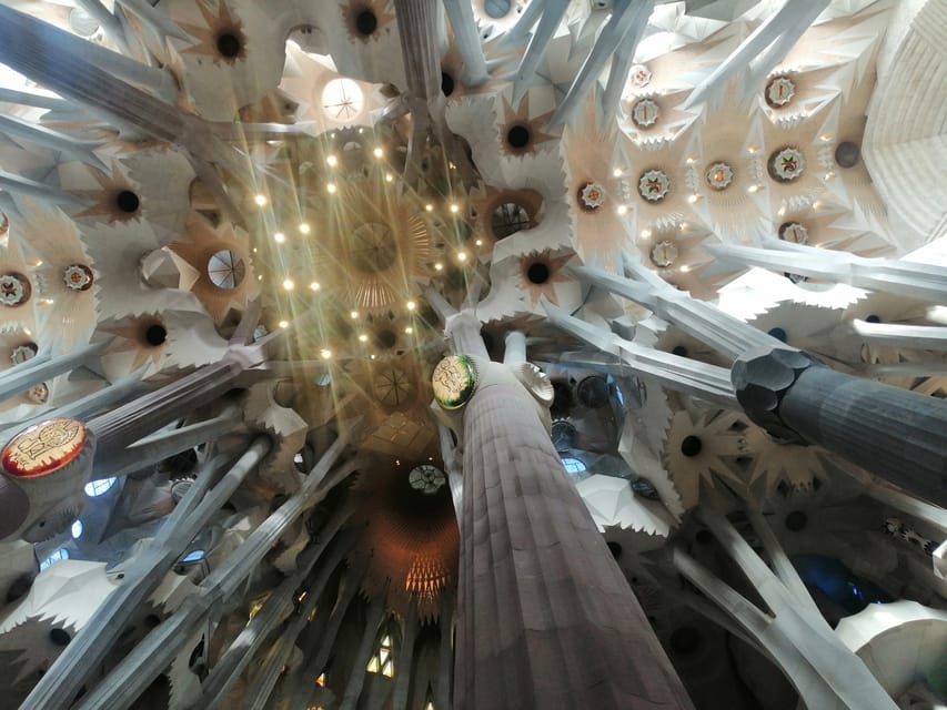 Barcelona: Park Güell Skip-the-Line Guided Tour - The overlook and Barcelona views