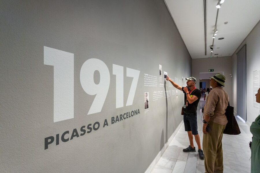 Barcelona: Picasso Museum Skip-the-Line Guided Tour - Key points to know before booking