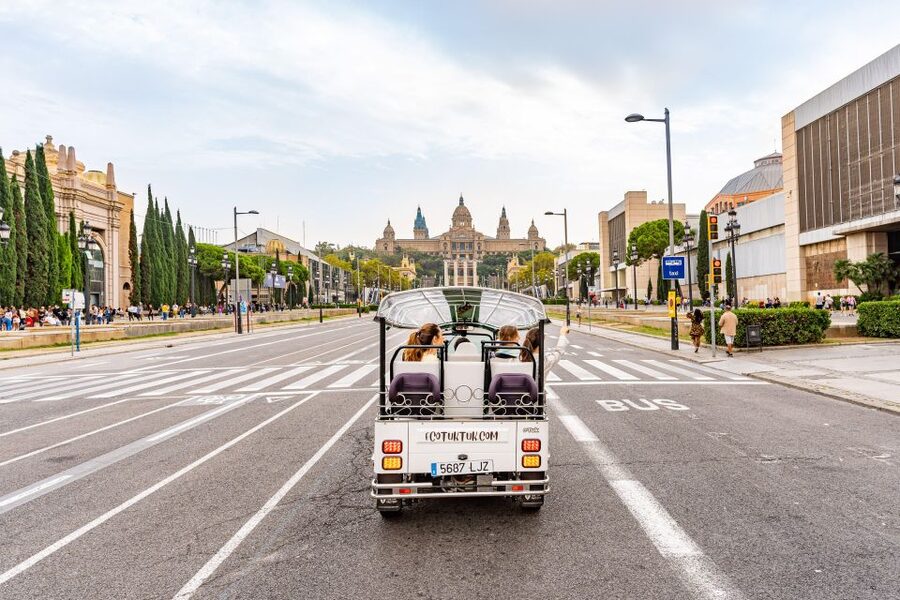 Barcelona: Private City Tour by Eco Tuk Tuk - Plaça de Catalunya and the Gothic Quarter