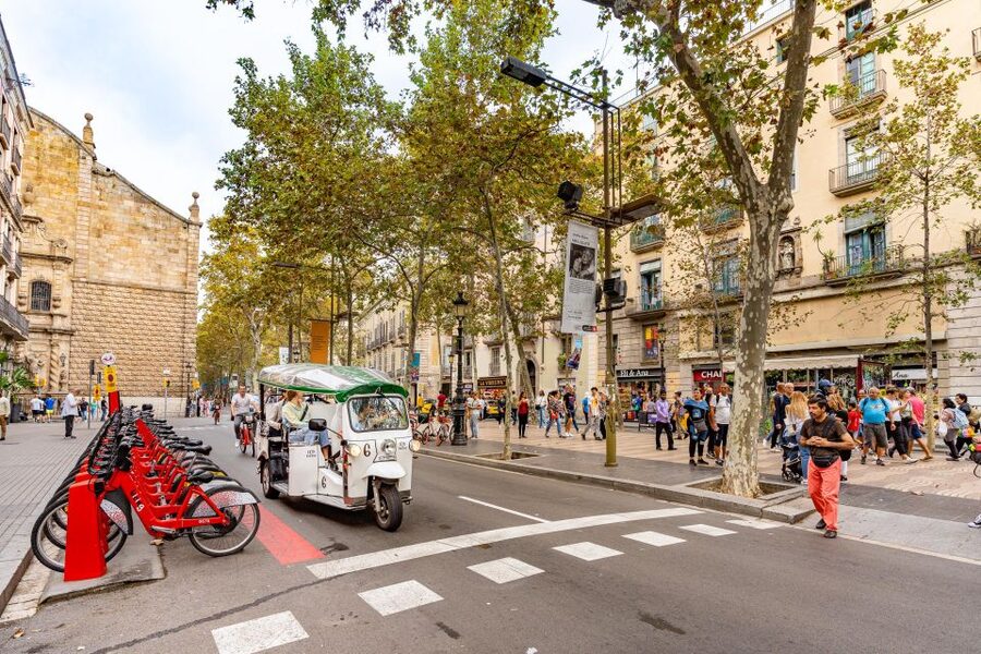 Barcelona: Private City Tour by Eco Tuk Tuk - La Rambla, Port Vell, and Ciutadella Park