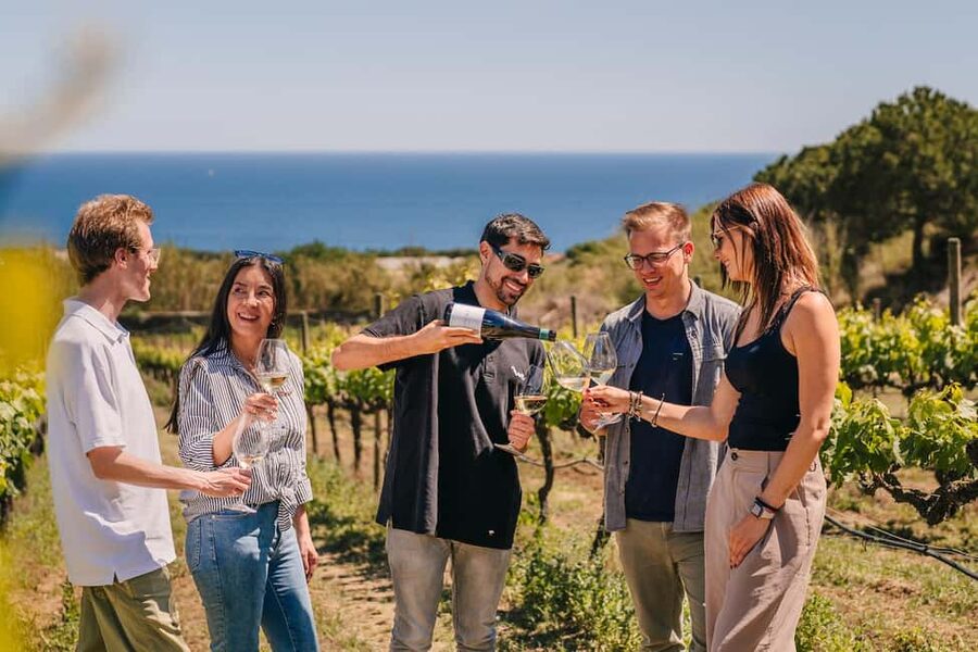 Barcelona: Sailing Cruise & Vineyard Tour with Wine Tasting - Alella and the short ride to Bouquet d’Alella