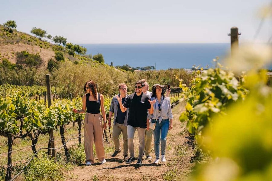 Barcelona: Sailing Cruise & Vineyard Tour with Wine Tasting - Four organic wines and a Catalan table