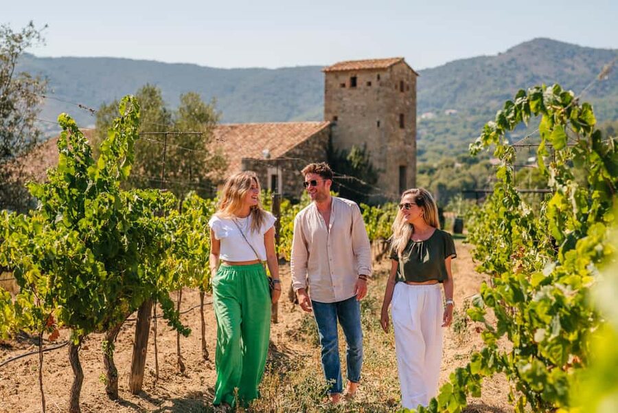 Barcelona: Sailing Cruise & Vineyard Tour with Wine Tasting - Weather, motion, and comfort