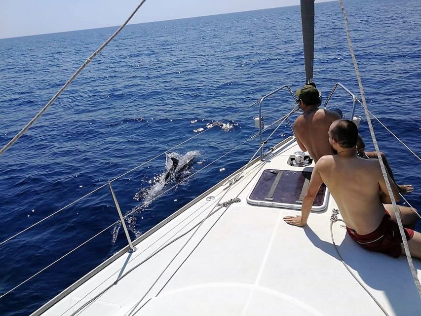 Barcelona: Sailing Trip with Drinks and Snacks - Why Barcelona looks different from Port Olimpic