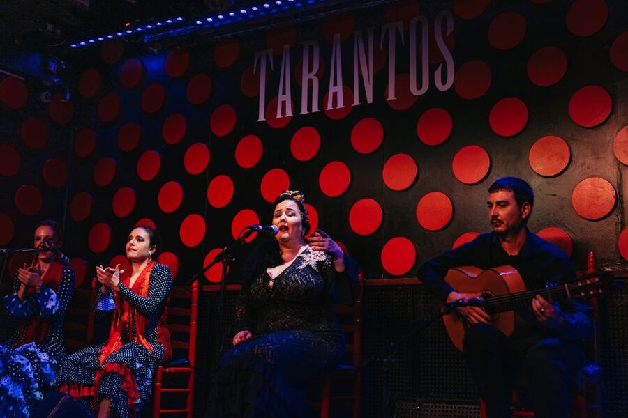 Barcelona: Tapas and Flamenco Experience - What the flamenco performance does well