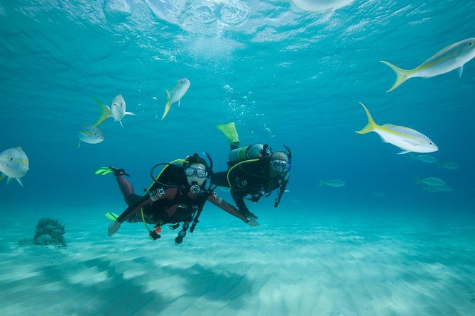Beginners Scuba Diving Experience in Gran Canaria - What this Gran Canaria scuba experience is really like