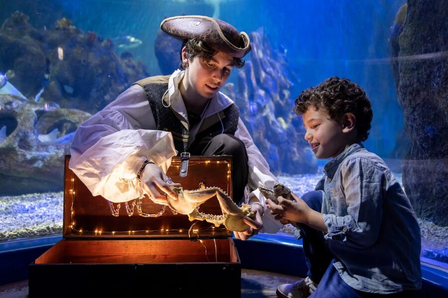 Benalmadena Aquarium Visit - Get hands-on at the interactive rockpool