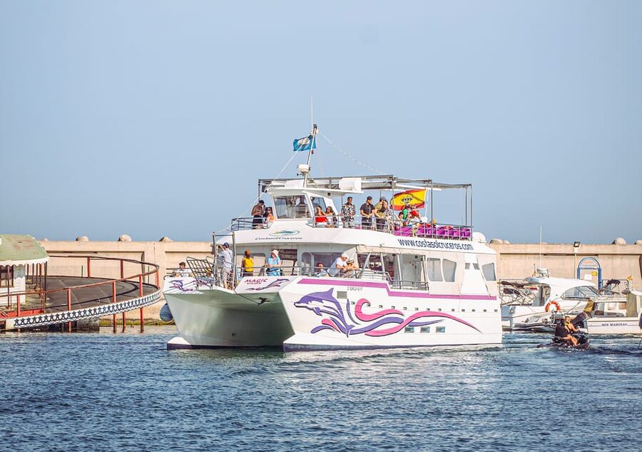 Benalmadena: Dolphin Watching Boat Tour - Choosing your place on the New Magic