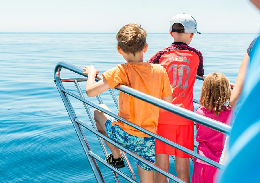Benalmadena: Dolphin Watching Boat Tour - The Costa del Sol views along the route