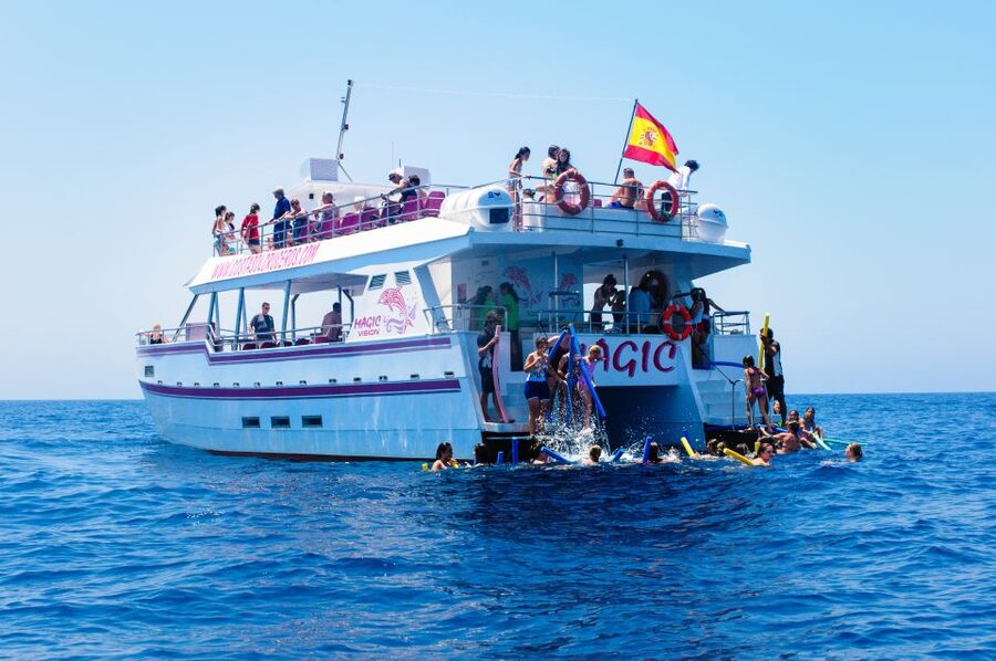 Benalmadena: Dolphin Watching Boat Tour - Food, music, photos, and family details