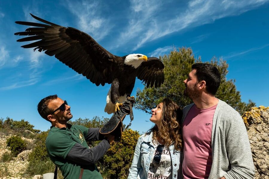 Benalmádena: Mount Calamorro Cable Car Ticket - Weather, timing, and what to bring