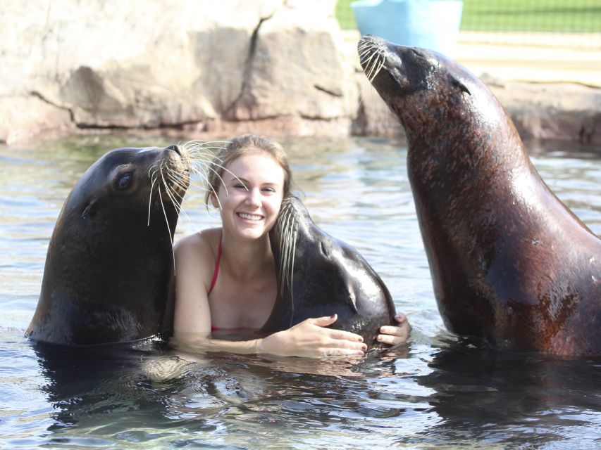 Benidorm: Aqua Natura Amusement Park 1-Day Entry Ticket - The sea lion presentation adds a different kind of stop