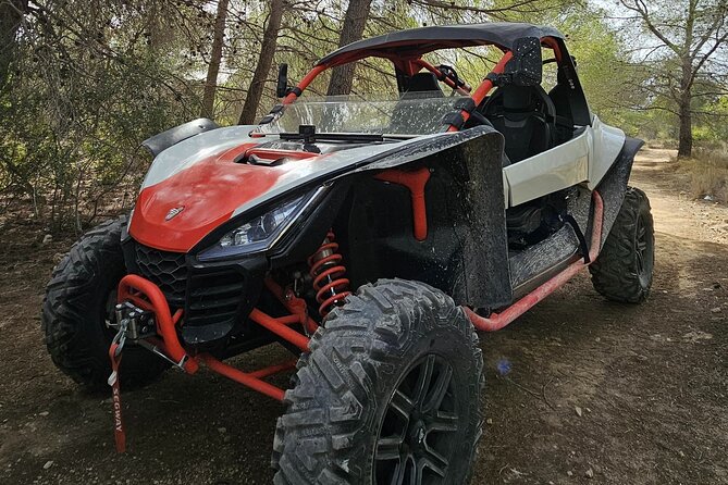 Benidorm Buggy Tour Off Road - Who will enjoy this ride most?