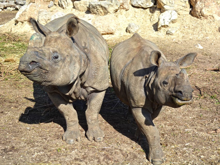 Benidorm: Terra Natura and Aqua Natura Combo Day Ticket - Eating and spending inside the parks