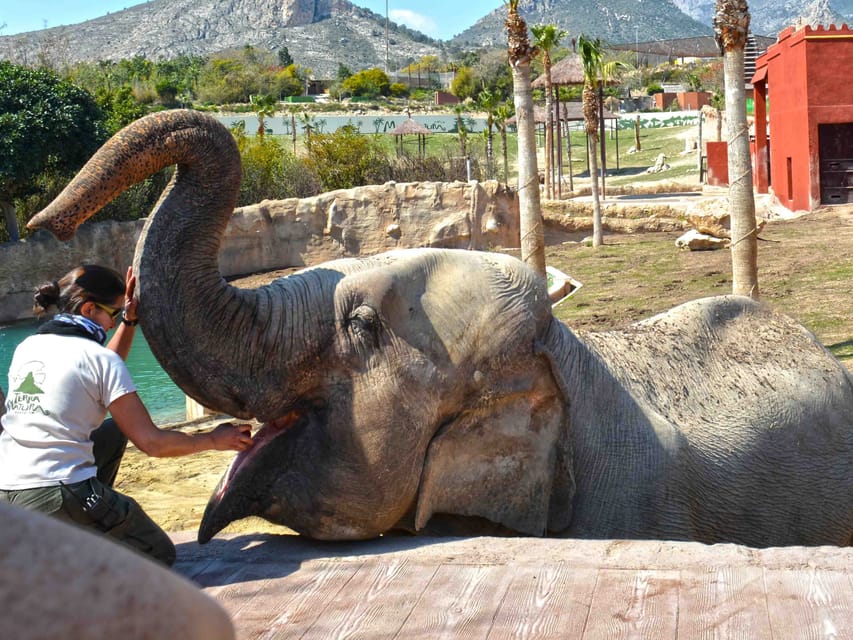 Benidorm: Terra Natura and Aqua Natura Combo Day Ticket - One day or two days?