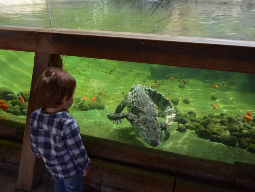Benidorm: Terra Natura Theme Park 1-Day Tickets - The aviary offers shade, water, and a cooler walk
