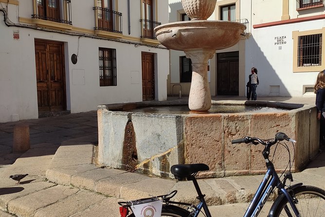 Bike Tour Córdoba - Along the Guadalquivir to the Roman Bridge