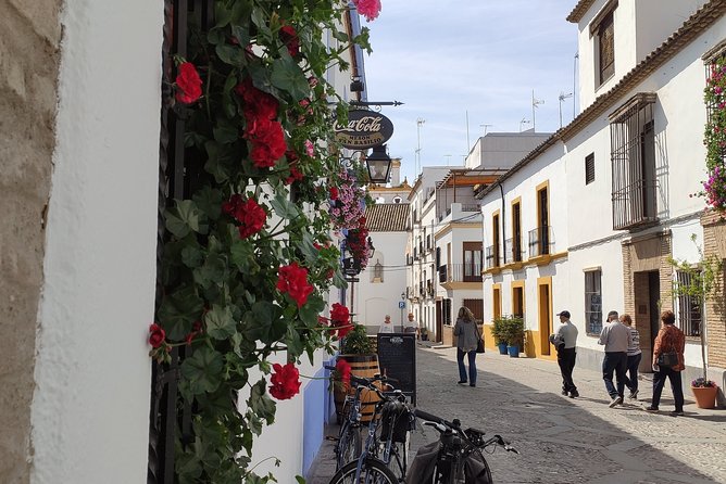 Bike Tour Córdoba - San Basilio and the patio tradition