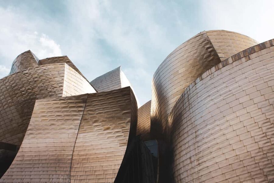 Bilbao: Guggenheim Museum Tour with Skip-the-Line Tickets - Accessibility and practical details