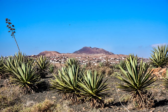 Buggy Fuerteventura Off-Road Excursions - Guides, safety, and the feel of the convoy