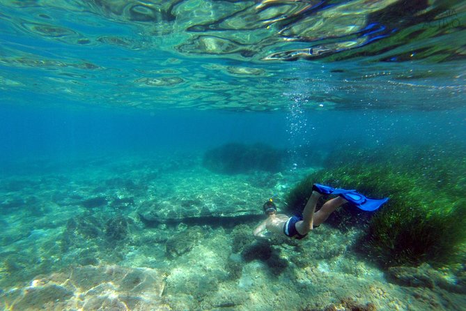 Cabo de Gata Active. Guided kayak and snorkel route through coves of the Natural Park - The guides, explanations, and group size