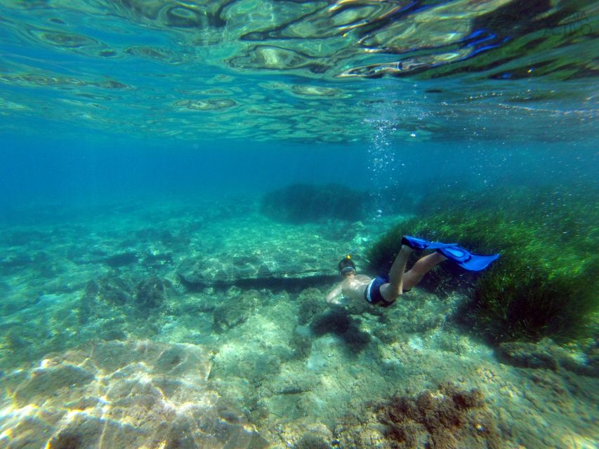 Cabo de Gata: Natural Park Kayaking and Snorkel Excursion - The first 15 minutes: briefing and basic paddling