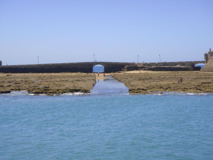 Cádiz: Bay of Cádiz Catamaran Tour with Host - Who should book this cruise?