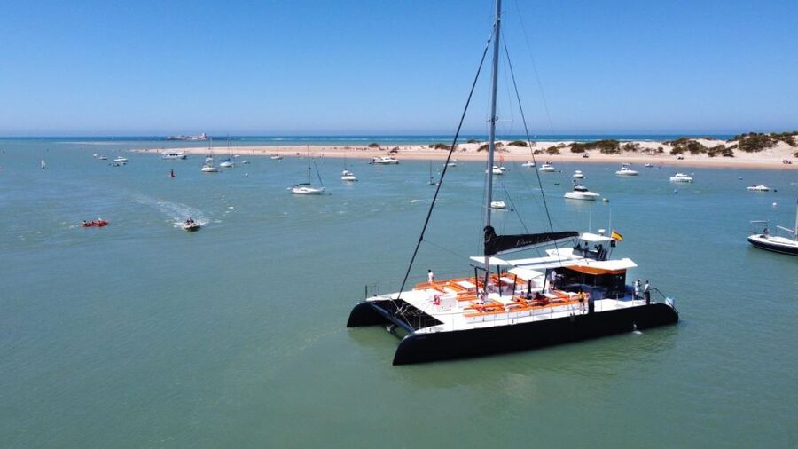 Cádiz: Bay of Cádiz Catamaran Tour with Host - What this Cádiz catamaran trip is really like