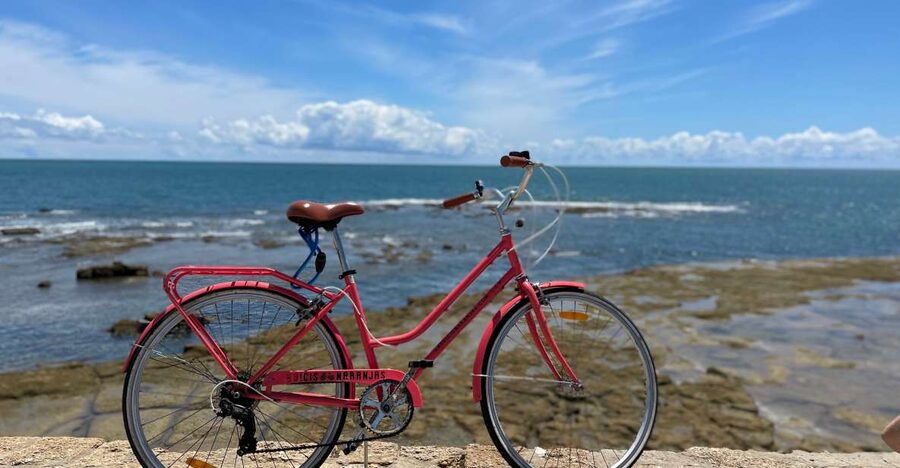 Cadiz: City Bike Tour - How the $40 price holds up