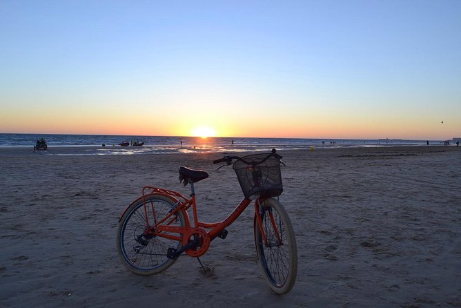 Cadiz Small Group Bike Tour - Group Size, Bike Paths, and Safety
