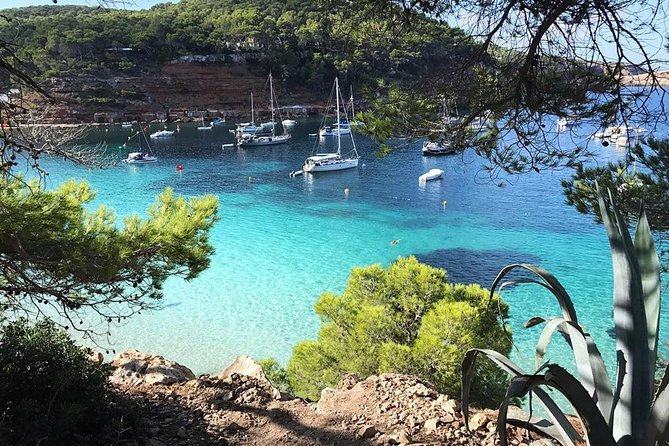 Cala Salada and Unspoiled North Beach Tour. Snorkelling and Aquarium - A low-cost way to see Ibiza from the sea