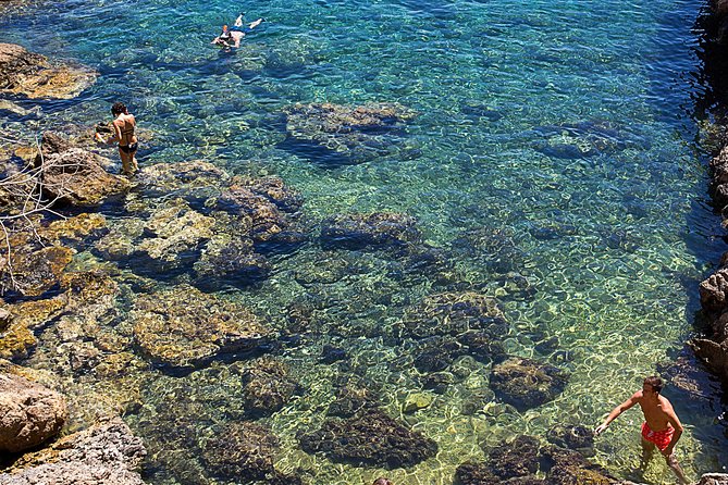 Cala Salada and Unspoiled North Beach Tour. Snorkelling and Aquarium - Ses Balandres for swimming and snorkelling